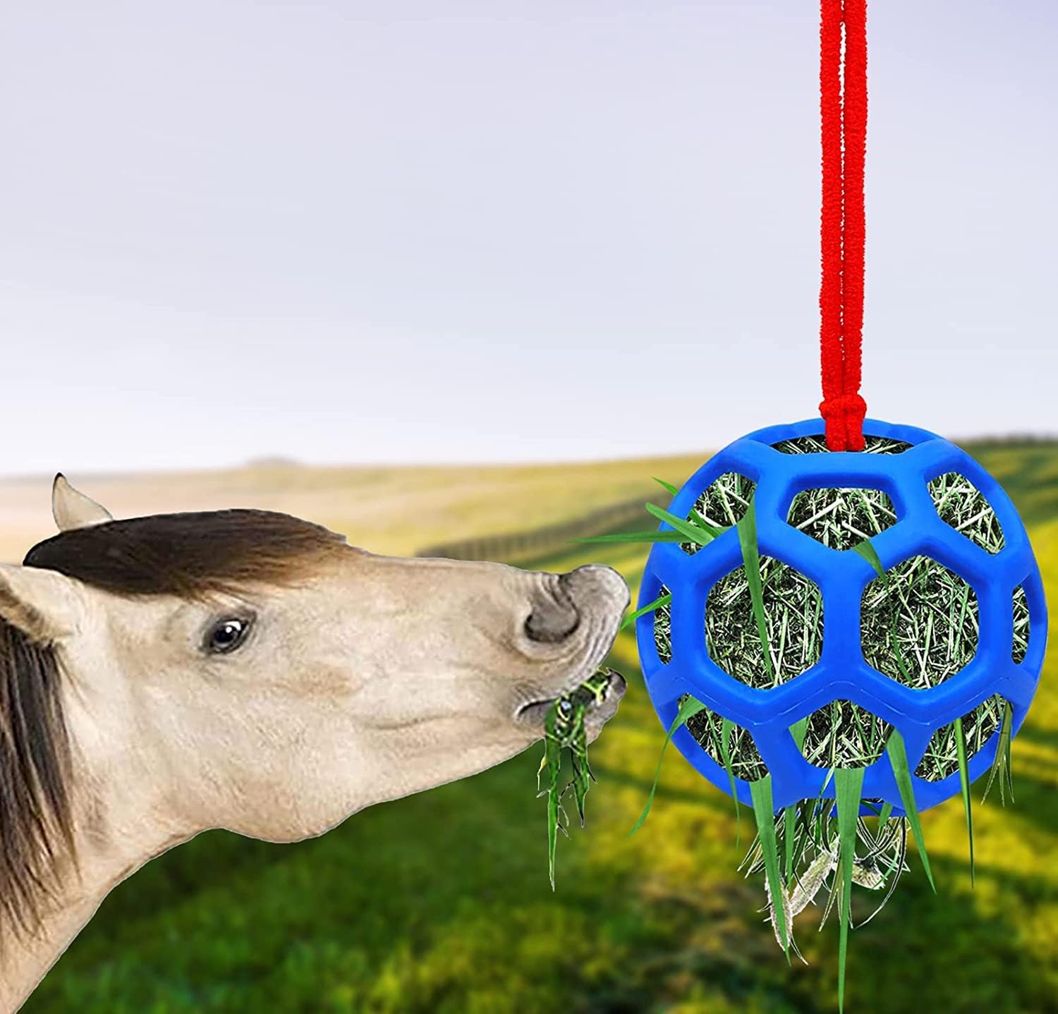 Horse Treat Ball Hay Feeder Holder Hanging Slow Feeding Toy for Goat Sheep Horse Stable Stall Paddock Rest Relieve Stres image number 4