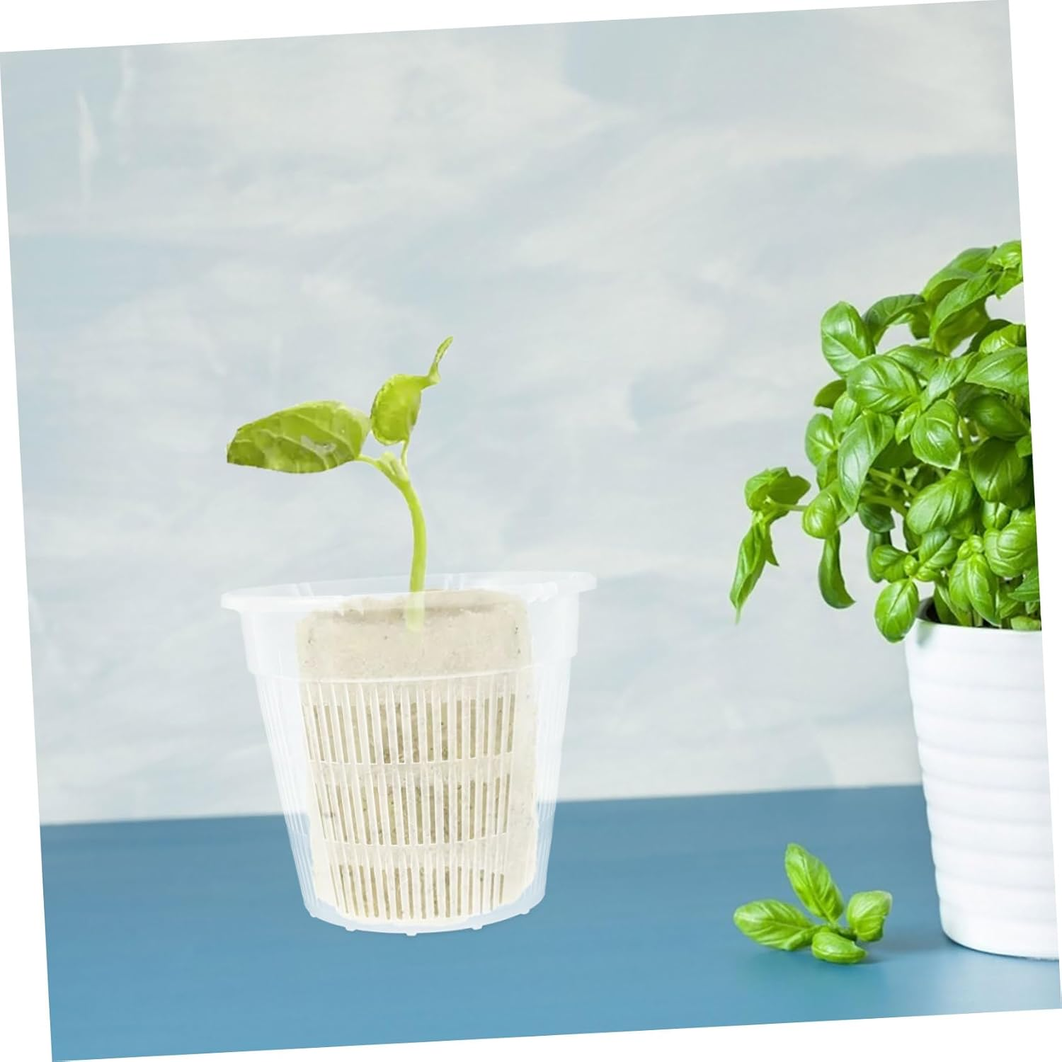 Parliky 4Pcs Hydroponic Vegetable Planting Baskets Outdoor Indoor Garden Supplies Aquarium Planting Baskets Soil Growing image number 4