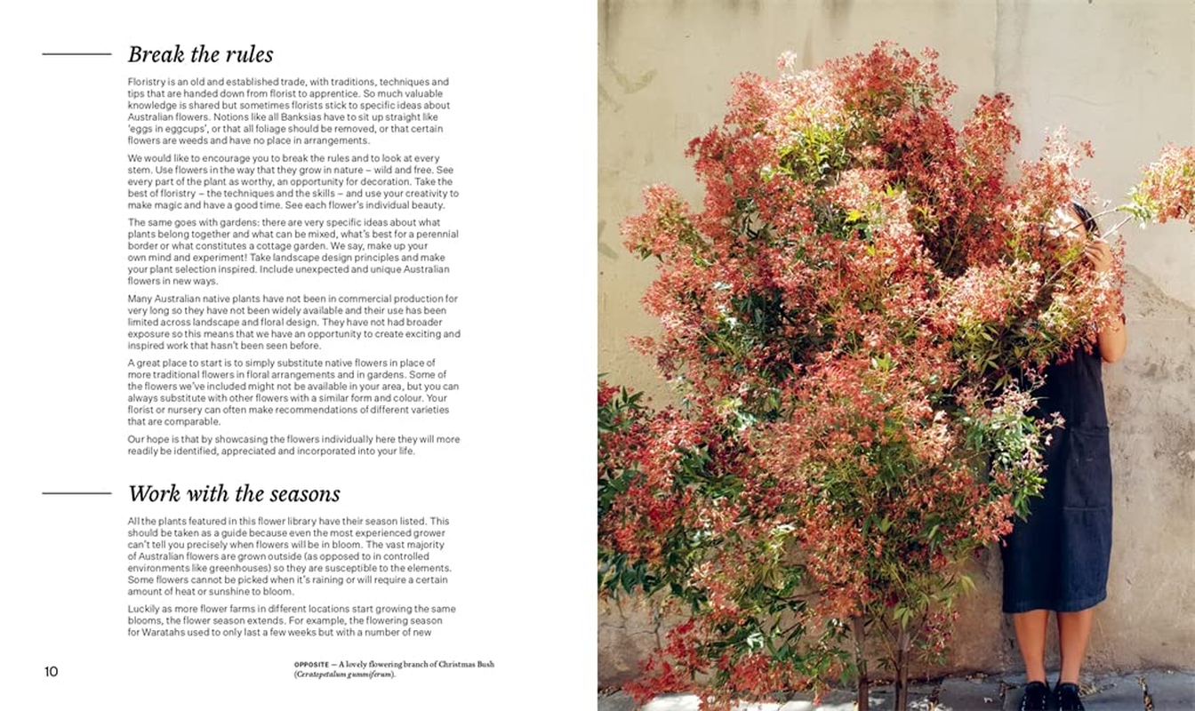 Bush Flowers: Australian Flowers and Foliage for Decoration and Design image number 1