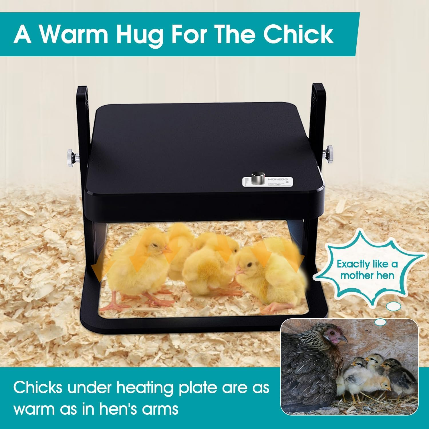 Upgraded Chicken Brooder Heating Plate with Adjustable Height & Angle, Thermostatic Control Chick Warmer Pad for Ducklings, Quail, and Birds (Temp-Adjust Brooder Heater) (Temp-Adjust) image number 6