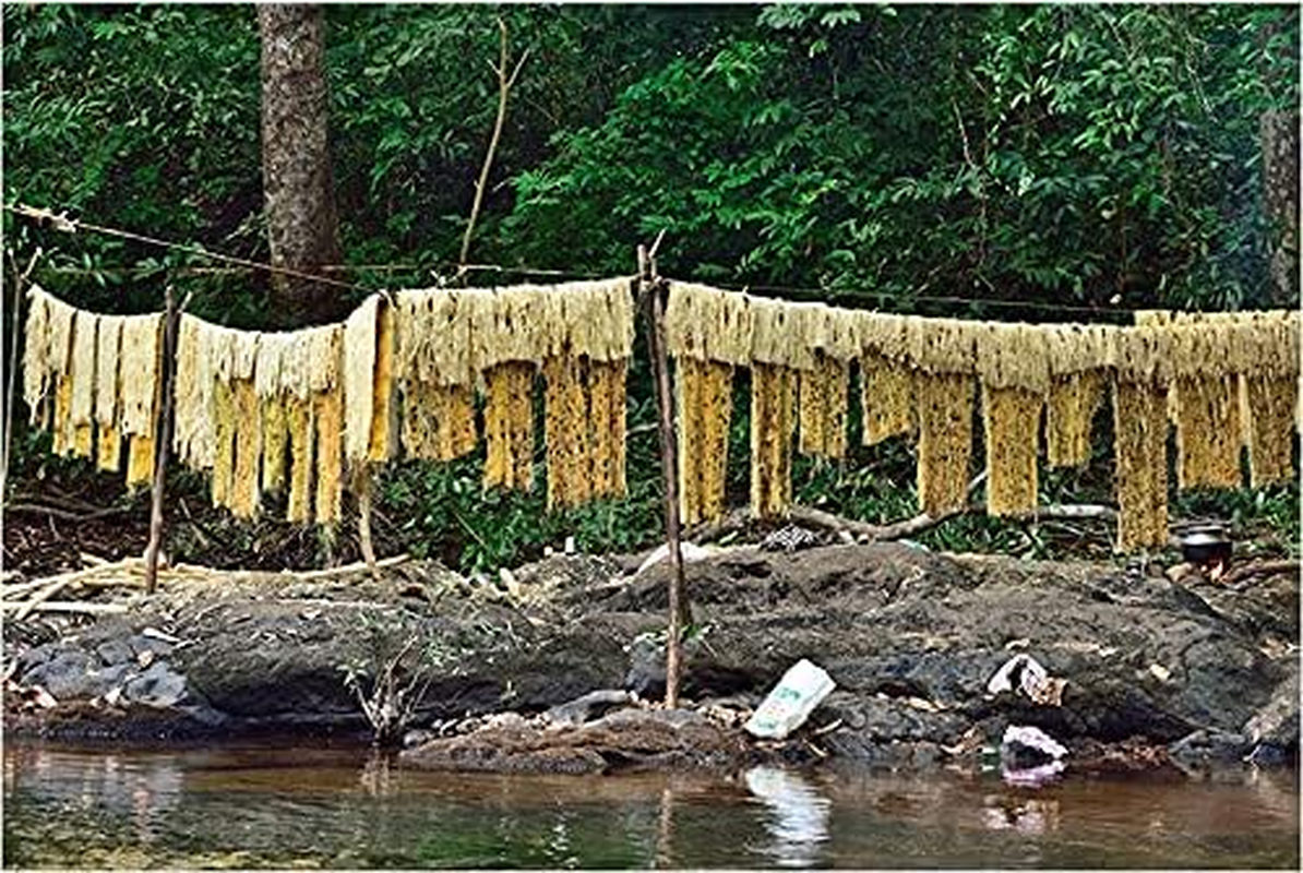 Orgo Dream Ayurveda Natural Organic Bath Scrubber Incha | Inja Nikuncham Eencha Acacia Caesia Wild Enja (150 Gram)