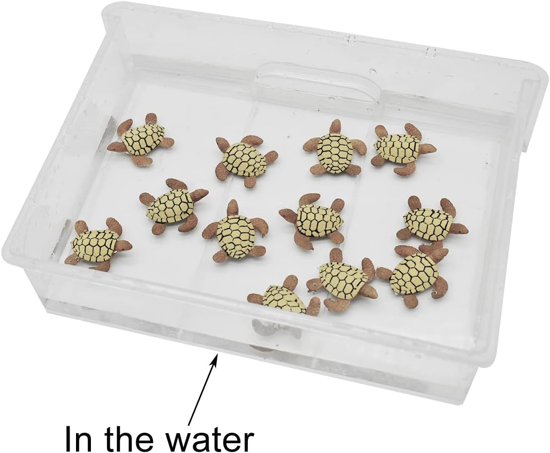 Pinenjoy 12Pcs Miniature Sea Turtle Figurines Resin Turtle Statue Fairy Garden Accessories for DIY Crafts Birthday Cake Succulent Planter Moss Landscape Terrarium Fish Tank Decoration image number 4