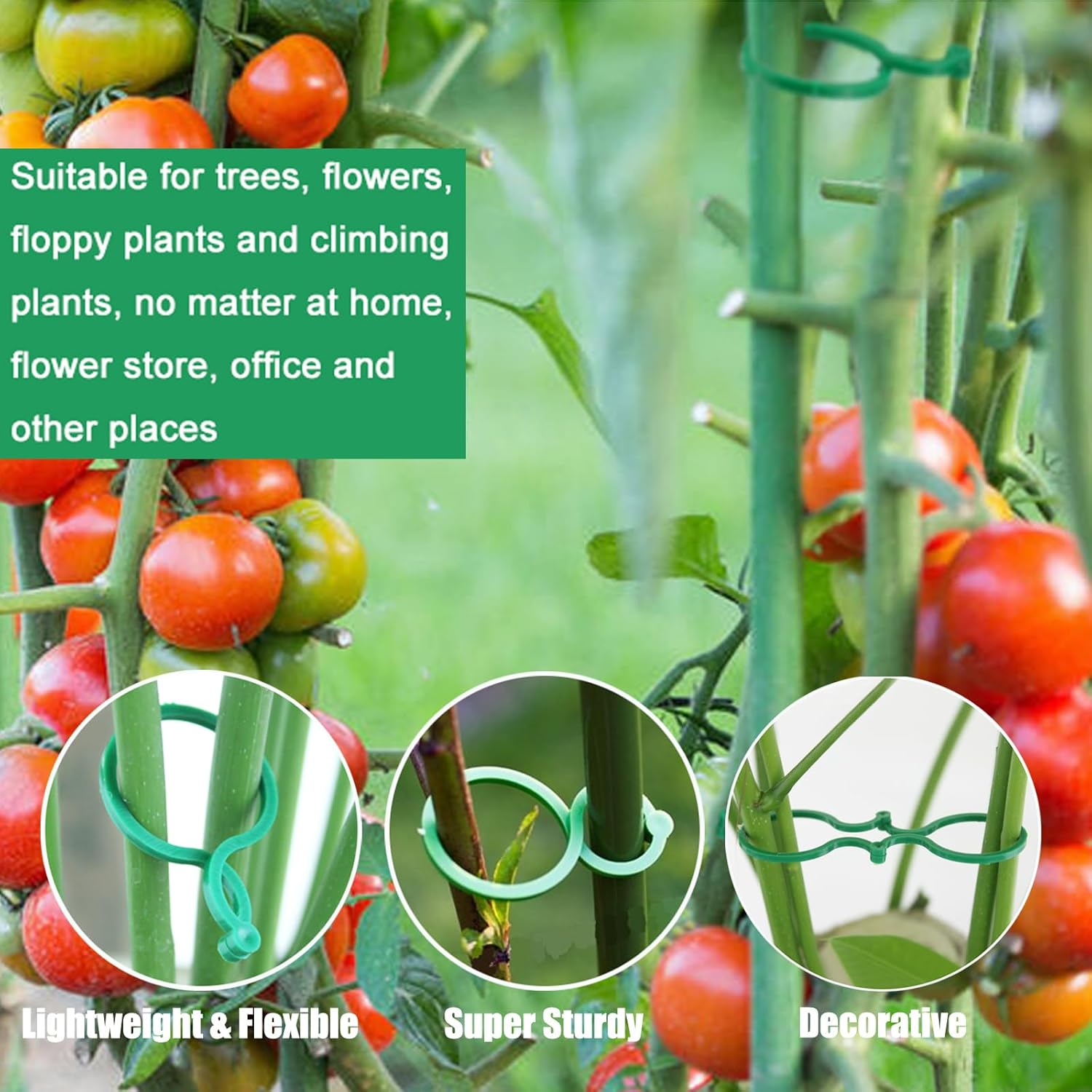 Hysagtek Pack of 200 Plant Clips for Supporting and Attaching Plants, Plant Clips, Trellis for Garden, Plants, Vegetable Fruit, Climbing Plants (Green) image number 1