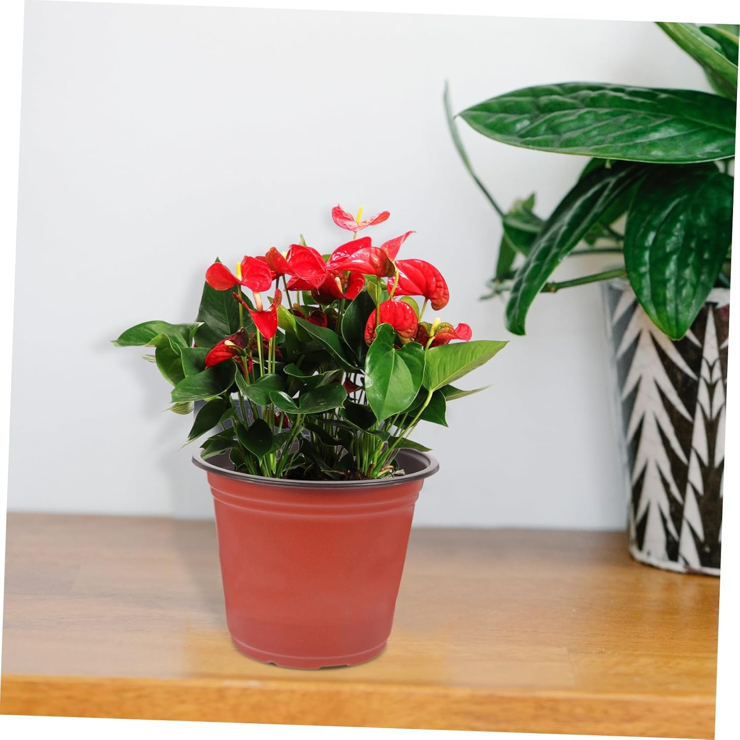 50Pcs Pots Lightweight Reusable Nursery Containers with Drainage Holes for Plants and Greenery for Use