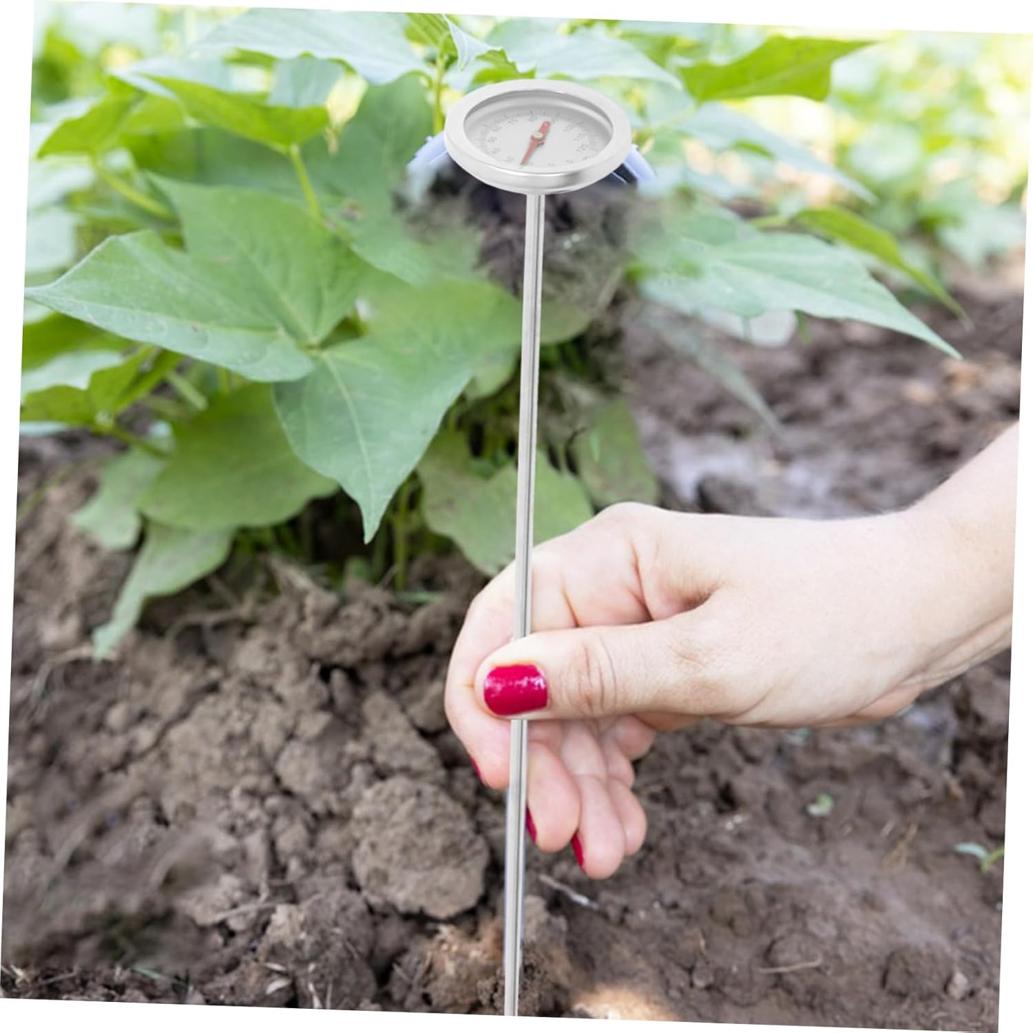 Compact Compost Soil Thermometer Probe Accurate Temperature Gauge for Gardening Portable Backyard Soil Temperature Tool User-Friendly Measurement for Home Gardeners image number 1