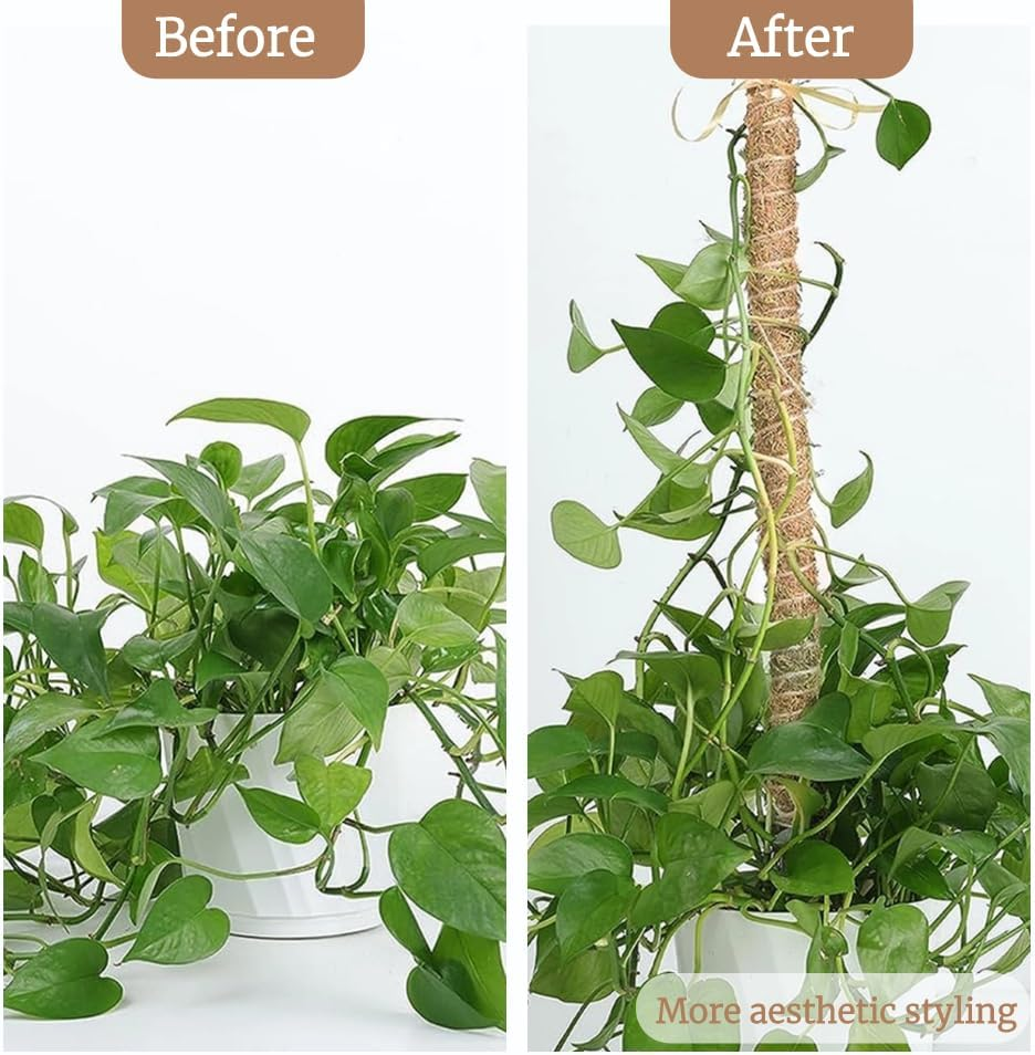 Moss Pole Monstera Support, Bendable Stakes for Indoor Climbing Plants, Tall Garden Trellis Stick for Pothos, Potted Plants (H:90Cm) image number 5