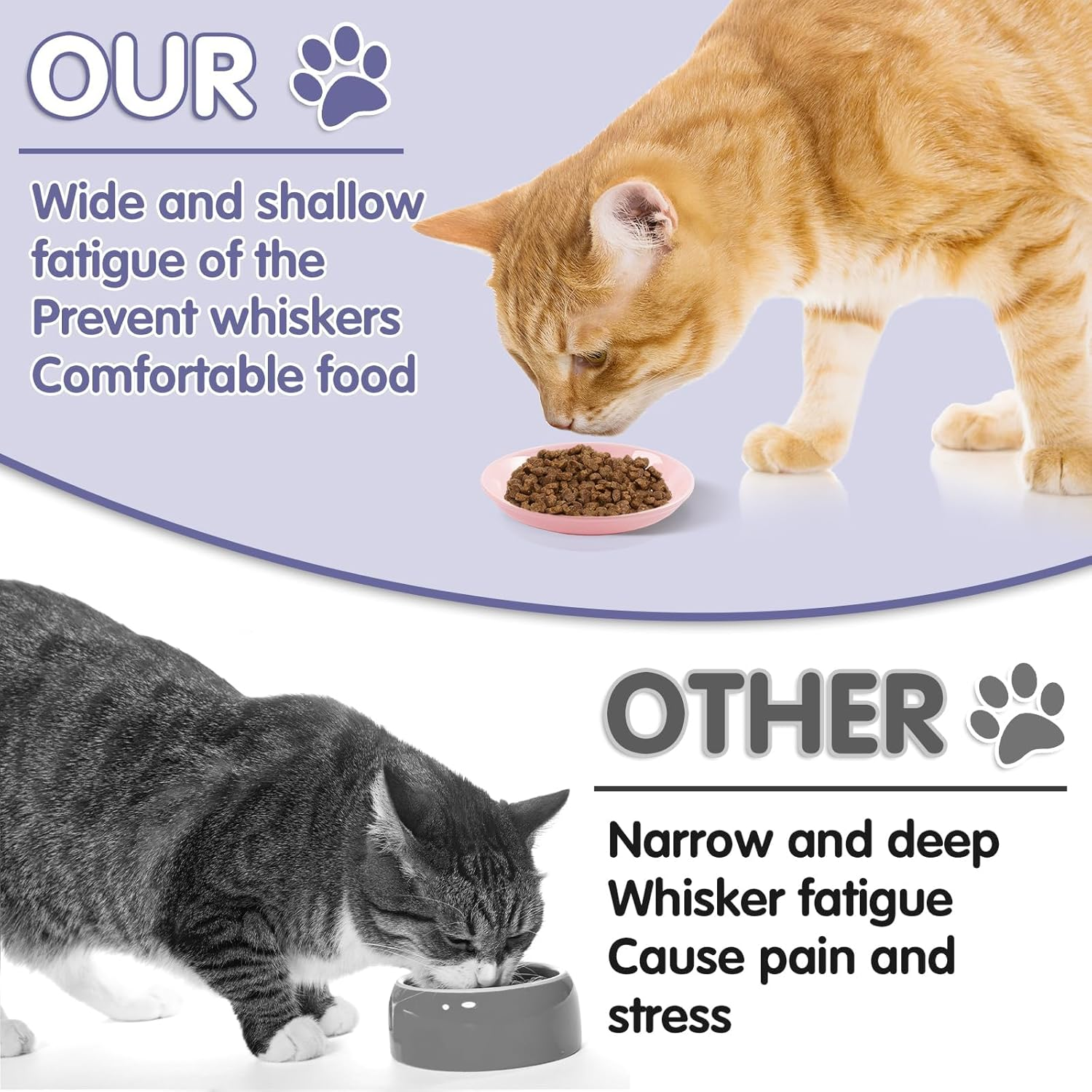 Cat Bowl Ceramic Set, 2 Pieces Flat Feeding Bowl for Cats and Kittens, Anti-Whisker Fatigue Cat Bowl to Protect Whiskers, Hygienic Cat Plate for Food and Water (15 X 3 Cm) image number 5