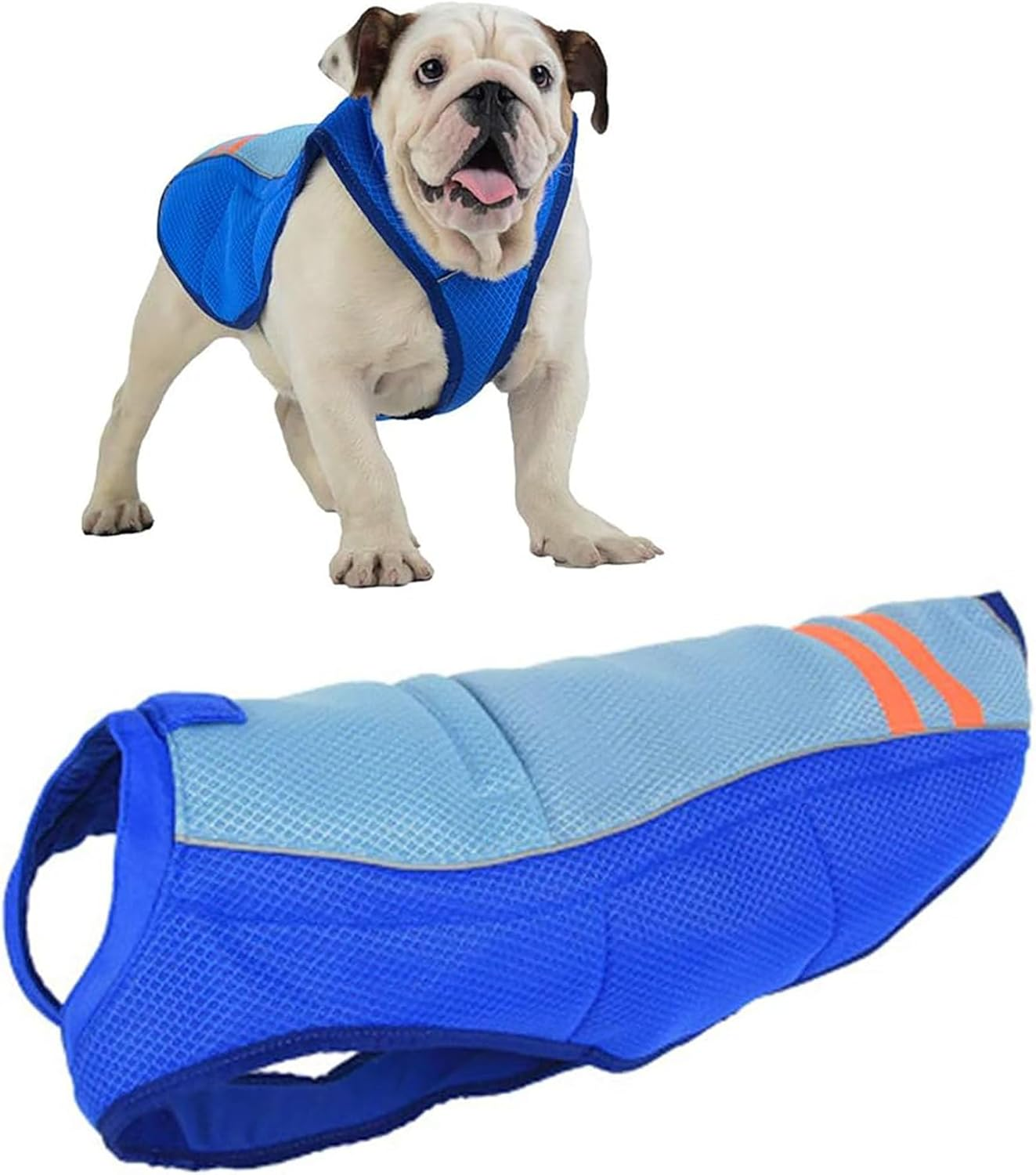 Dog Clothes Cooling Jacket for Dogs Cool Dog Vest Dog Cooling Cool Vests Coats for Dogs Cold Dog Vest,Xs,Blue