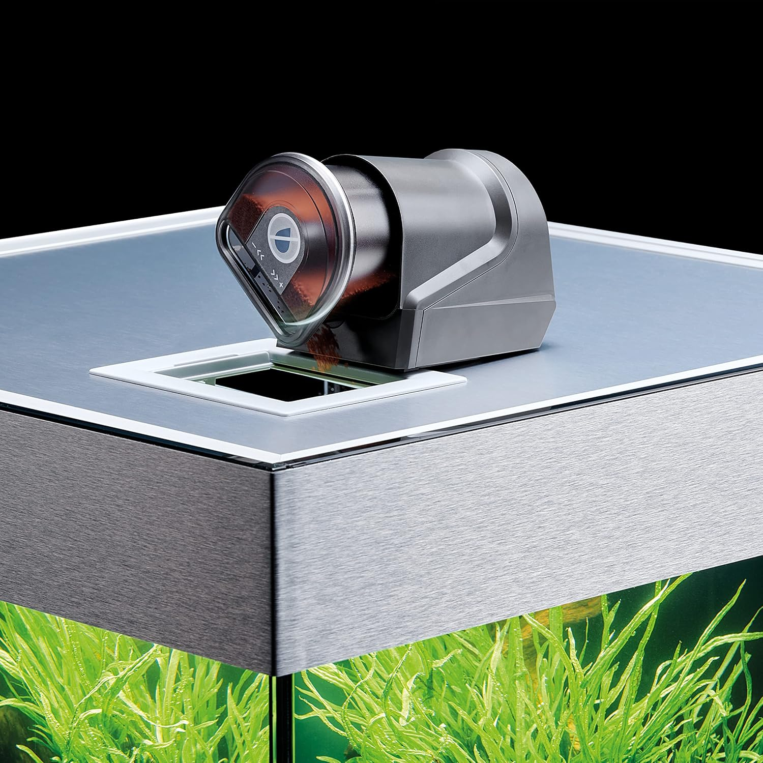 OASE Indoor Aquatics Fishguard, Black image number 6