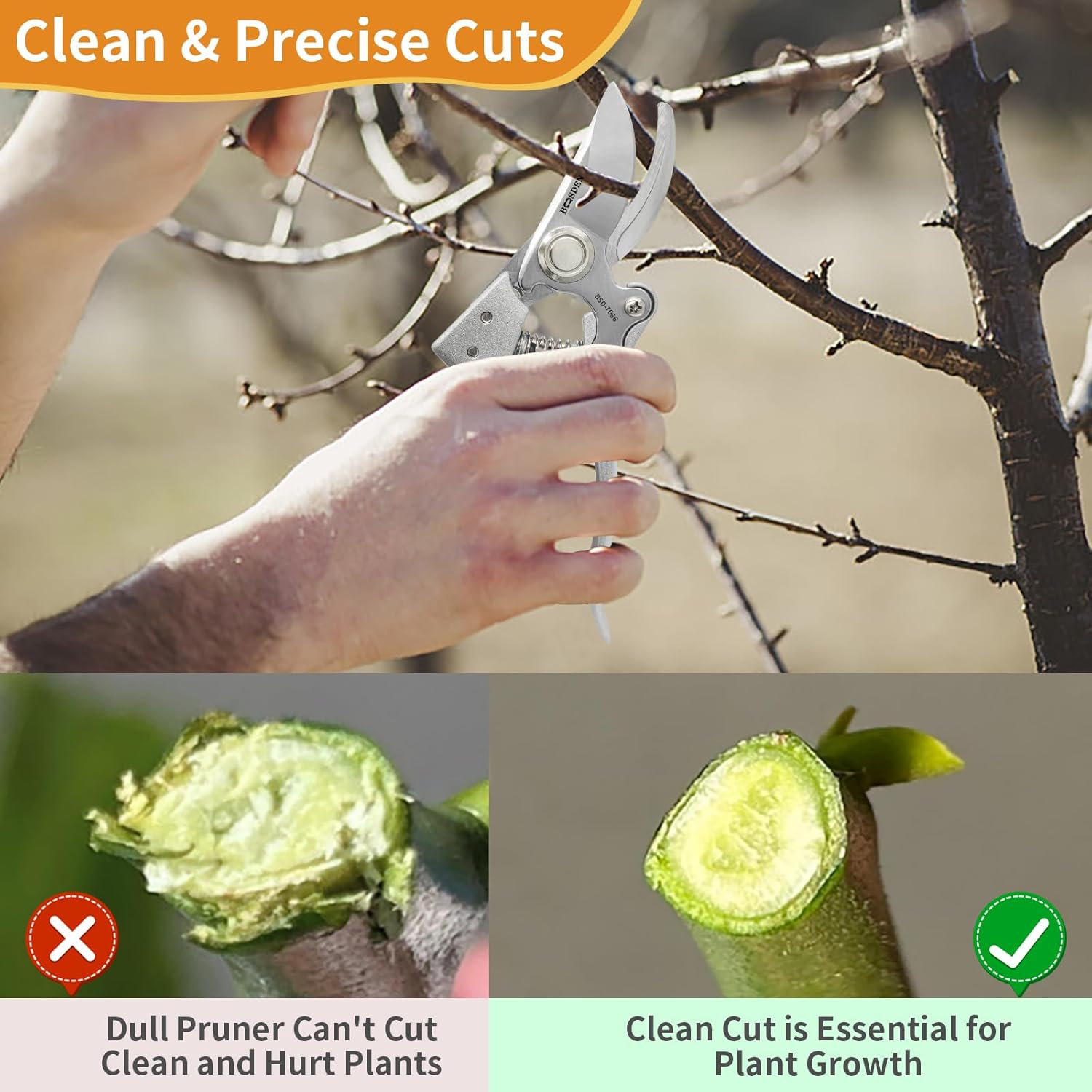 Made in Japan Pruning Shears 8" Professional Bypass Garden Scissors Secateurs, Premium Quality Japanese Gardening Tools Plant Hand Pruner Garden Clippers with Ergonomic Handle, Safety Lock for Farms image number 1