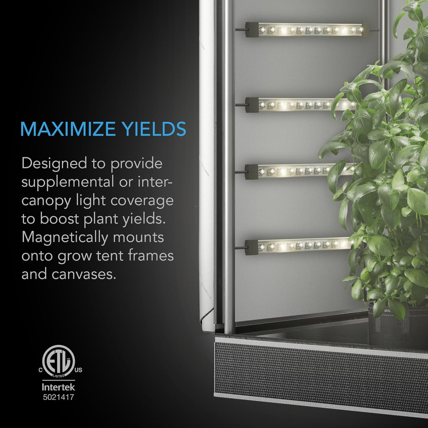 AC Infinity IONBEAM S11, Full Spectrum LED Grow Light Bars 11&rdquo;, Deeper Penetration Samsung LM301H EVO Diodes and Digital Dimming Timer Controller, for Veg Bloom Indoor Plants, Grow Tents, Greenhouses image number 4