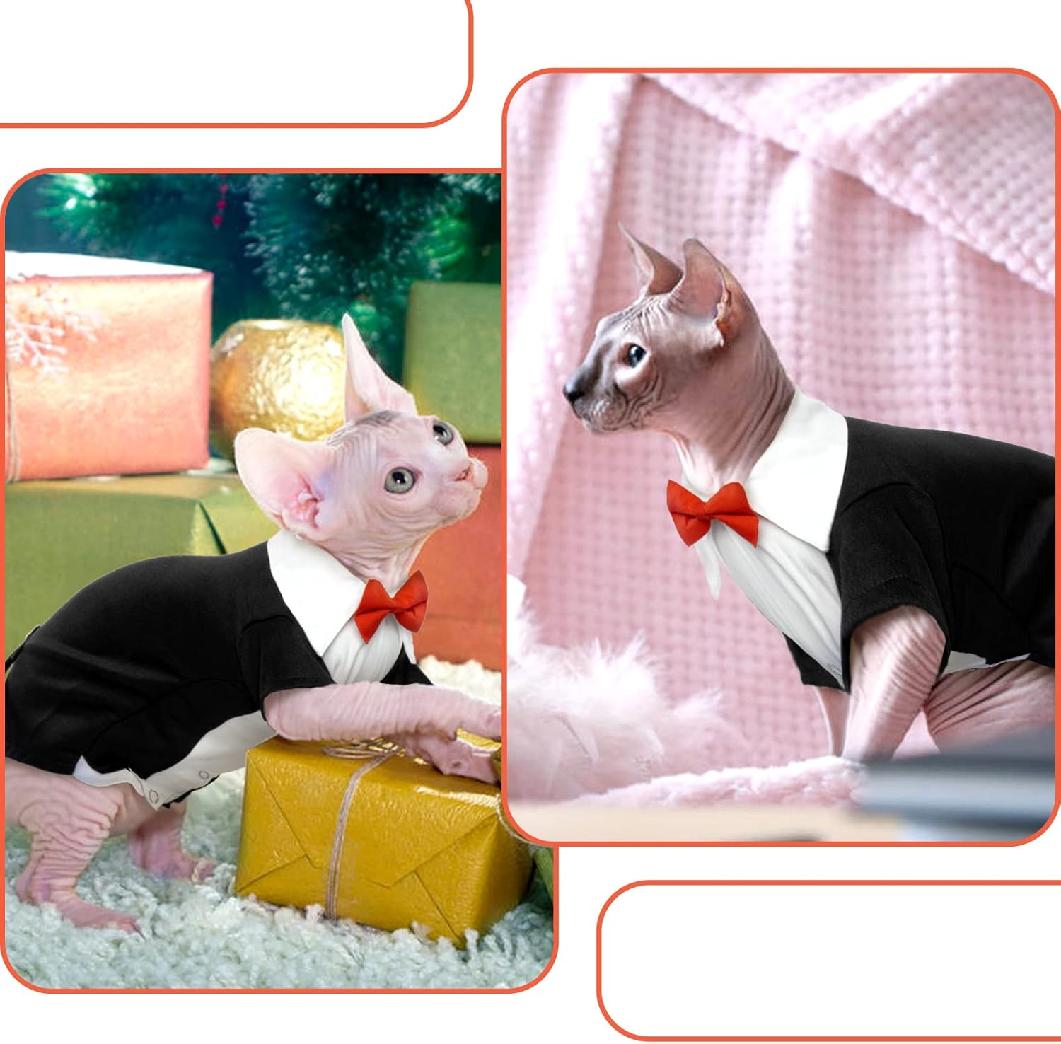 Cat Wedding Suit, Hairless Cat Tuxedo Formal with 2 Pieces Cat Collars with Bow Tie Shirt Cat Coat Wedding Costumes for Small Medium and Large Cats (Black, S) image number 3