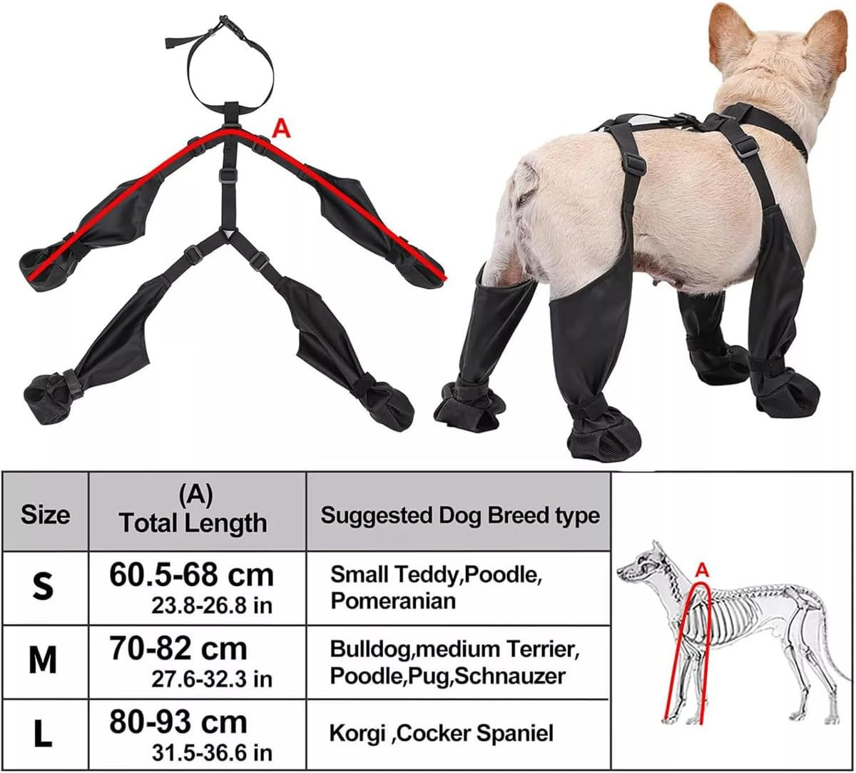 AIMALL Waterproof Dog Boots, Four Seasons Protective Dog Shoes, Non-Slip Anti-Dirt Pet Paw Protectors with Adjustable Straps, Suitable for Small and Medium Breeds, Bulldog, Poodle, Schnauzer image number 5