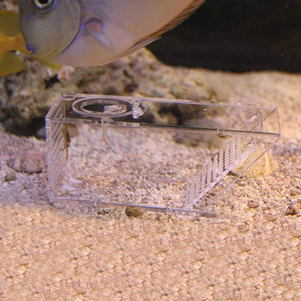 Crab Fish Trap, Crab Trap Catcher Box Fish Tank Mini Freshwater Catcher Box Aquarium Crawfish Tank Fishing Bait Cage Transparent Acrylic Holder for Catching Shrimp