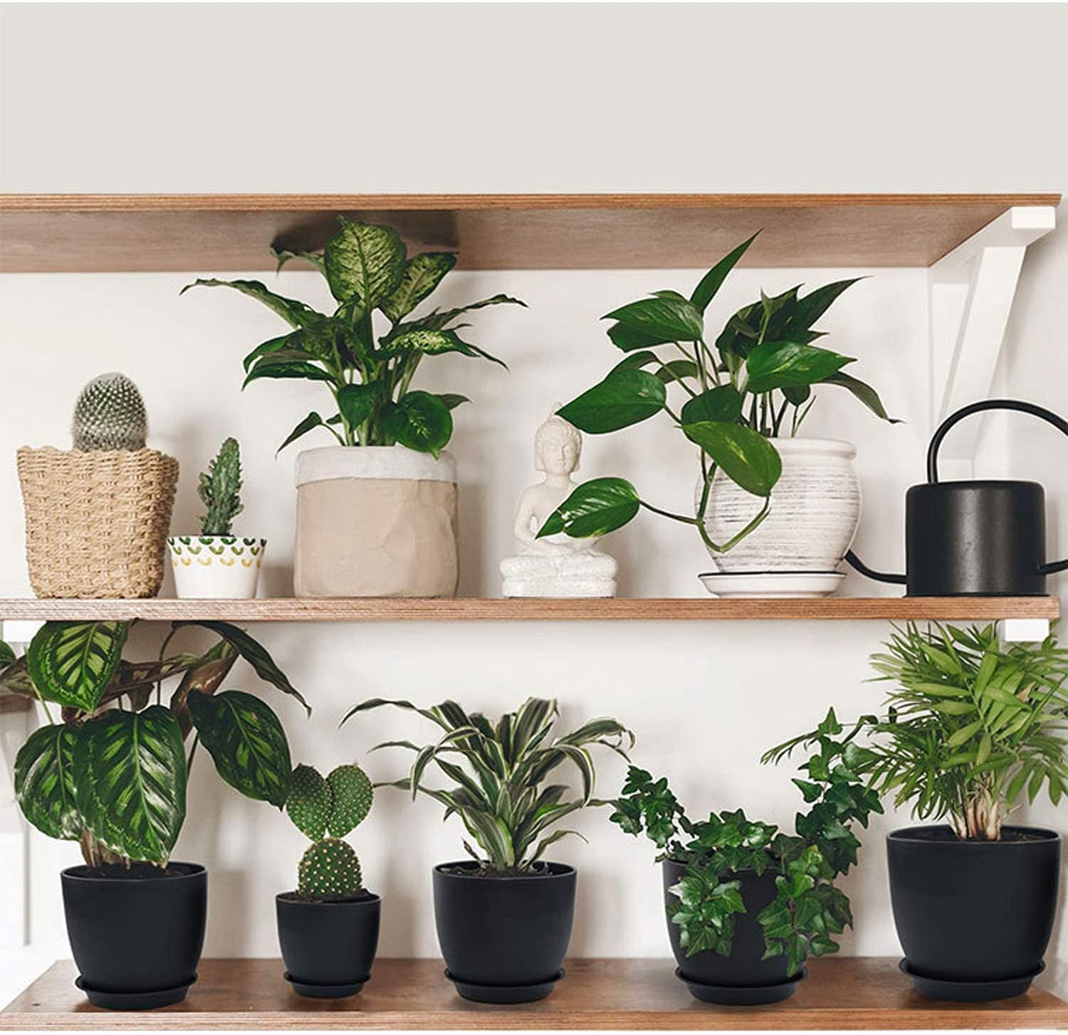 5 Pcs Black Plant Pots, 7/6/5.5/4.8/4.5 Inch Plastic Planters with Drainage Holes and Saucers for All House Plants and Flowers, Modern Planting Pot for Snake Plant, Aloe, Cactus, Succulents image number 2