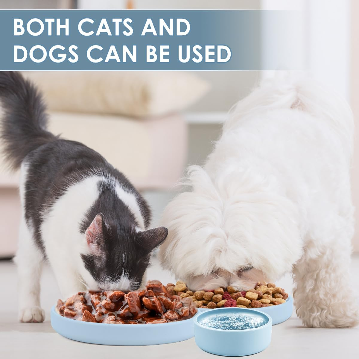 Feeding Bowl for Cats [Natural Silicone] Three Sizes (Multipurpose) | Cat Bowl | Cat Bowl for Dry Food and Wet Food | Water Bowl (Blue) image number 1