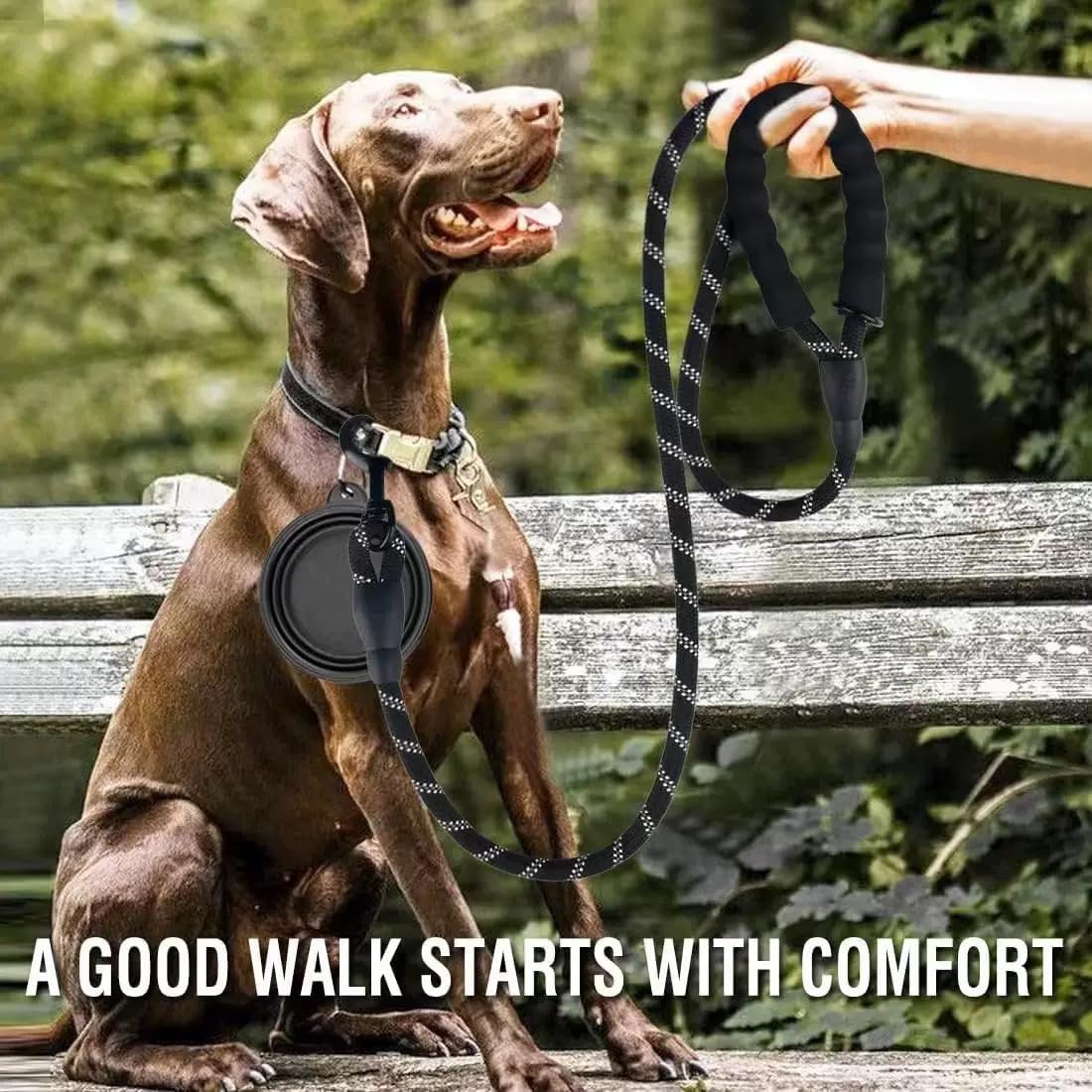 5/6 FT Strong Pet Dog Leash with Soft Padded Handle,Highly Reflective Rope for Night Walking,360-Degree Rotating Metal Buckle without Tangles,Suitable for Small,Medium and Large Dogs.(5Ft) (Black) - Black image number 2