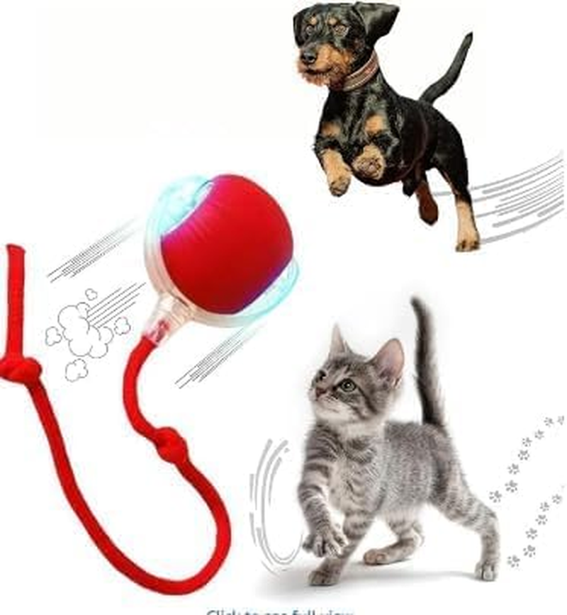 2Pack Cat Ball Kitten Toys for Indoor Interactive Kitty Ball Toy Speedy Tail Rolling(Red Green) and Dog & Cat Nail Clippers with 2Mm & 4Mm Cutting Holes image number 3