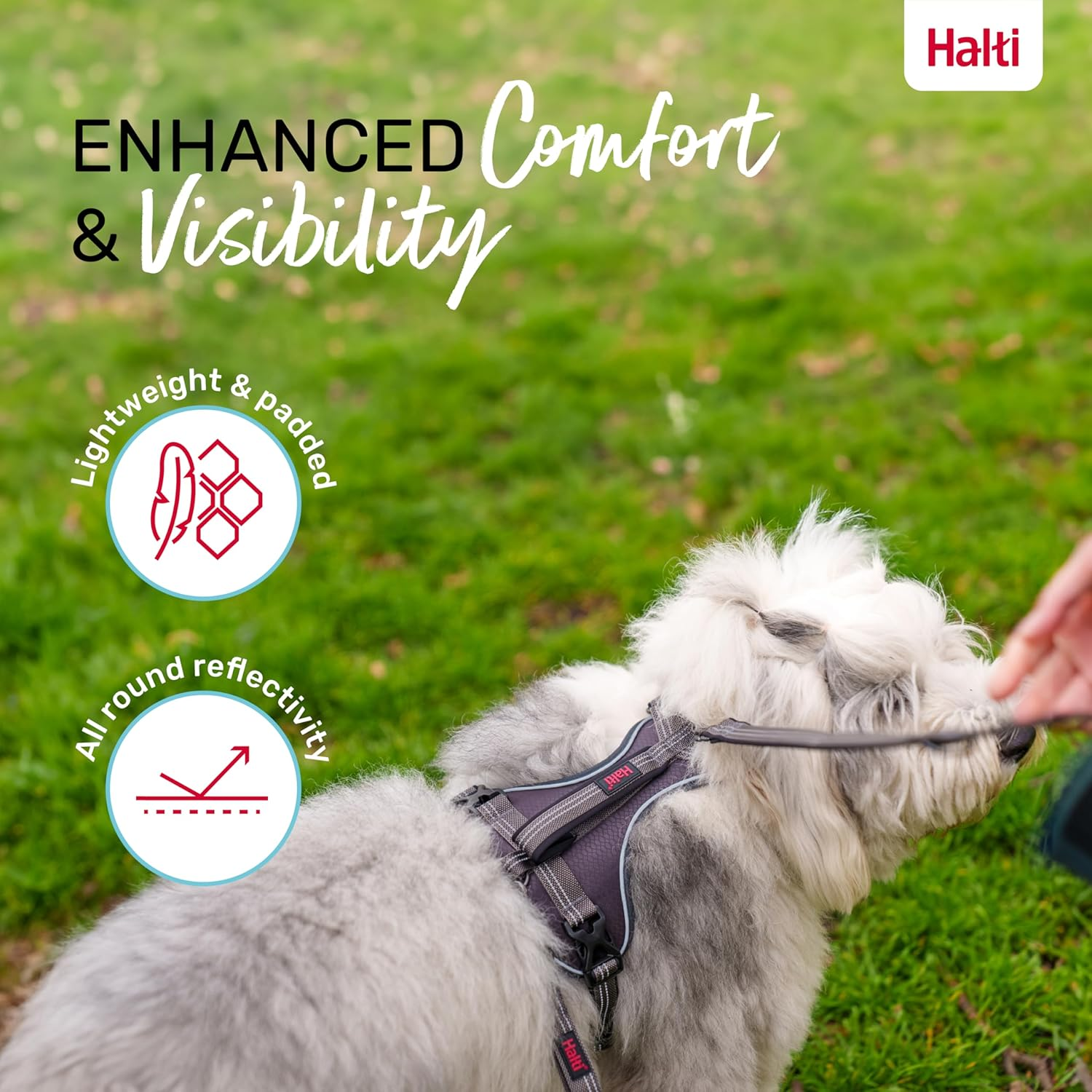 HALTI Anatomy Dog Harness with Handle - Provides Your Dog Freedom of Movement for Comfortable Walking. 3 Lead Attachment Points, Neoprene Padded, Adjustable, and Reflective (Size Large, Grey) image number 1