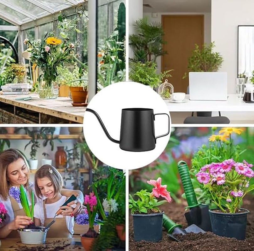 1PCS Watering Can Indoor Plants, Indoor Watering Can 350 Ml, Small Watering Can with Long Spout, Stainless Steel Plant Watering Can,Long Spout Small Water Can,Outdoor Garden Flowers Decorative image number 5