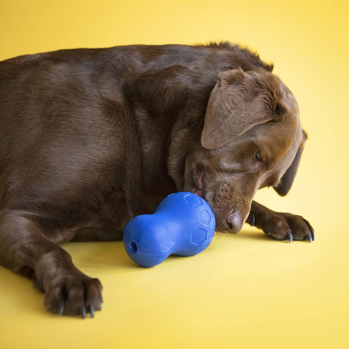 JW Pet Puzzler Dog Toy, Blue, Large image number 5