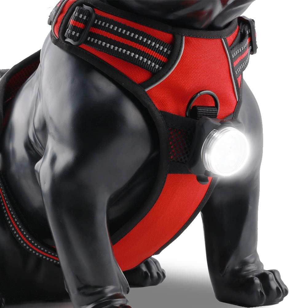 Dog Collar Lights for Night Walking, LED Collar Charm, Dog Night Light, Pet Safety Light for Outdoor, 4 Light Modes, IPX4 Waterproof, USB Rechargable image number 5