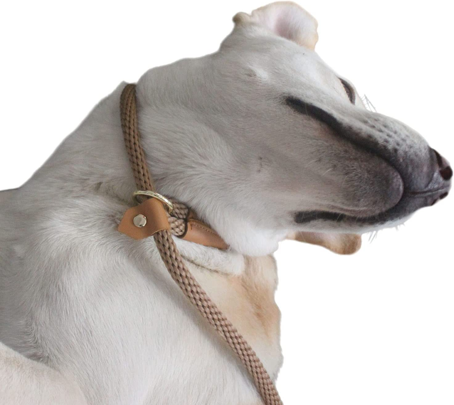 Slip Leads for Dogs 6FT, Checkcord Rope Slip Leash, No Pull Dog Rope Slip Leash, Easy to Use Leash Collar Combo Black - Green image number 6