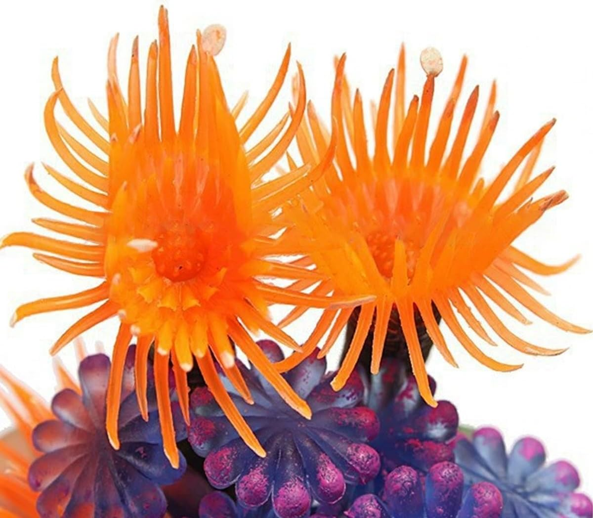 AIMALL Artificial Marine Anemone, Soft Coral Simulation for Aquariums, 2.36 X 1.96 X 3.14 Inches, Fluorescent Colors, Stable Base image number 1