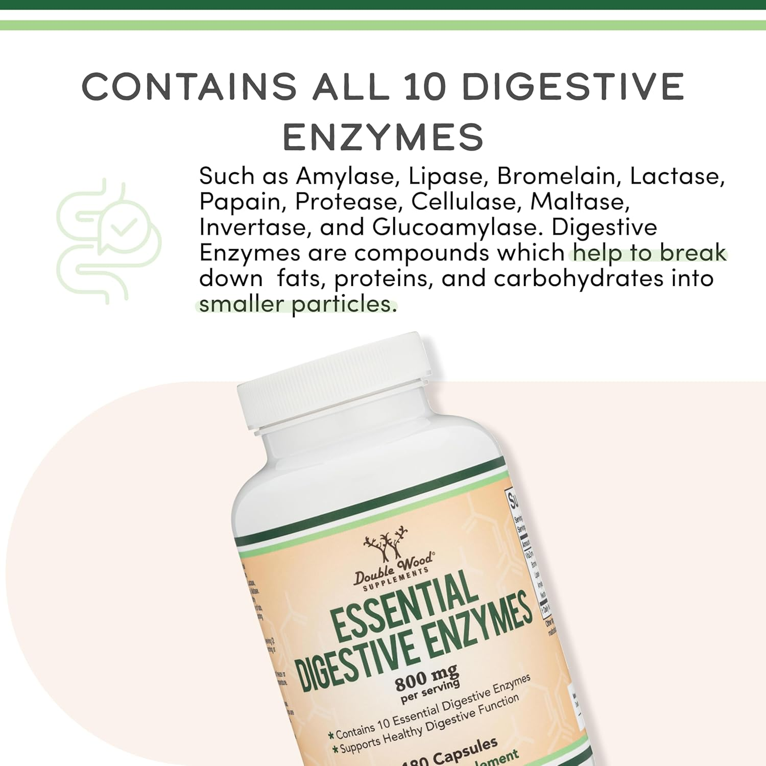 Digestive Enzymes - 800Mg Blend of All 10 Most Essential Digestive and Pancreatic Enzymes (Amylase, Lipase, Bromelain, Lactase, Papain, Protease, Cellulase, Maltase, Invertase) by Double Wood image number 2