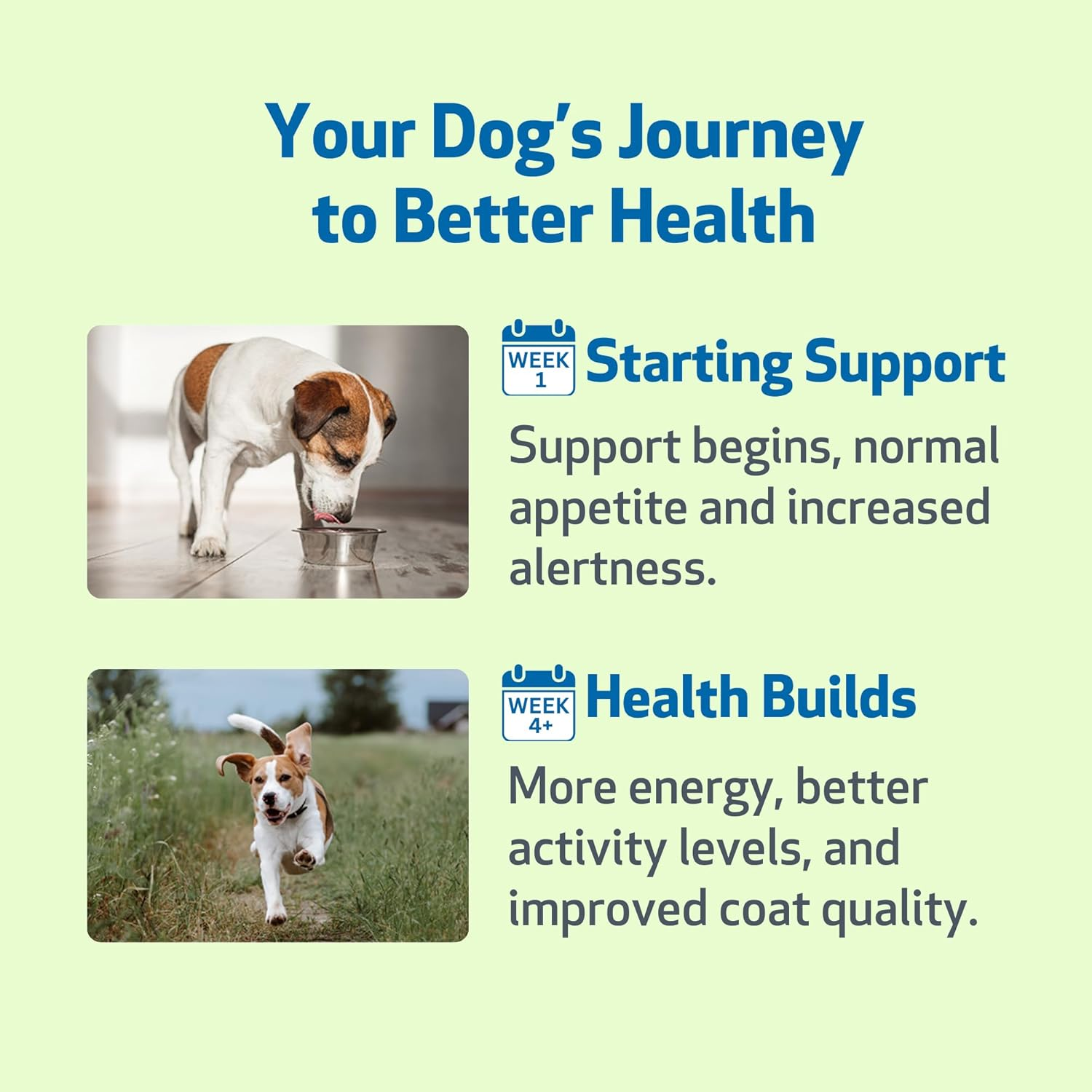 Pet Wellbeing - Milk Thistle for Dogs - Essential Detoxification Support for Canines with Liver Dysfunction (4 Ounce) image number 4