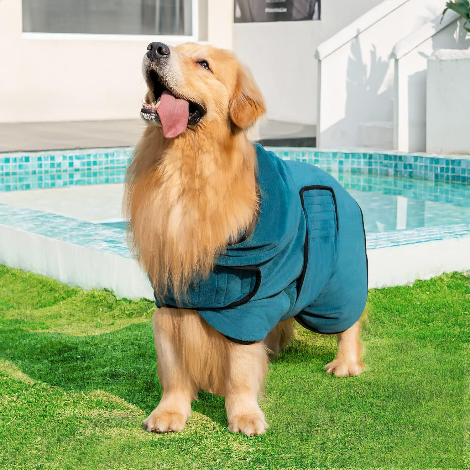 Avont Dog Bathrobe - Super Absorbent Pet Drying Towel Bath Robes after Bath Shower Swim Wet Walk for Puppies -Blue(L) image number 5
