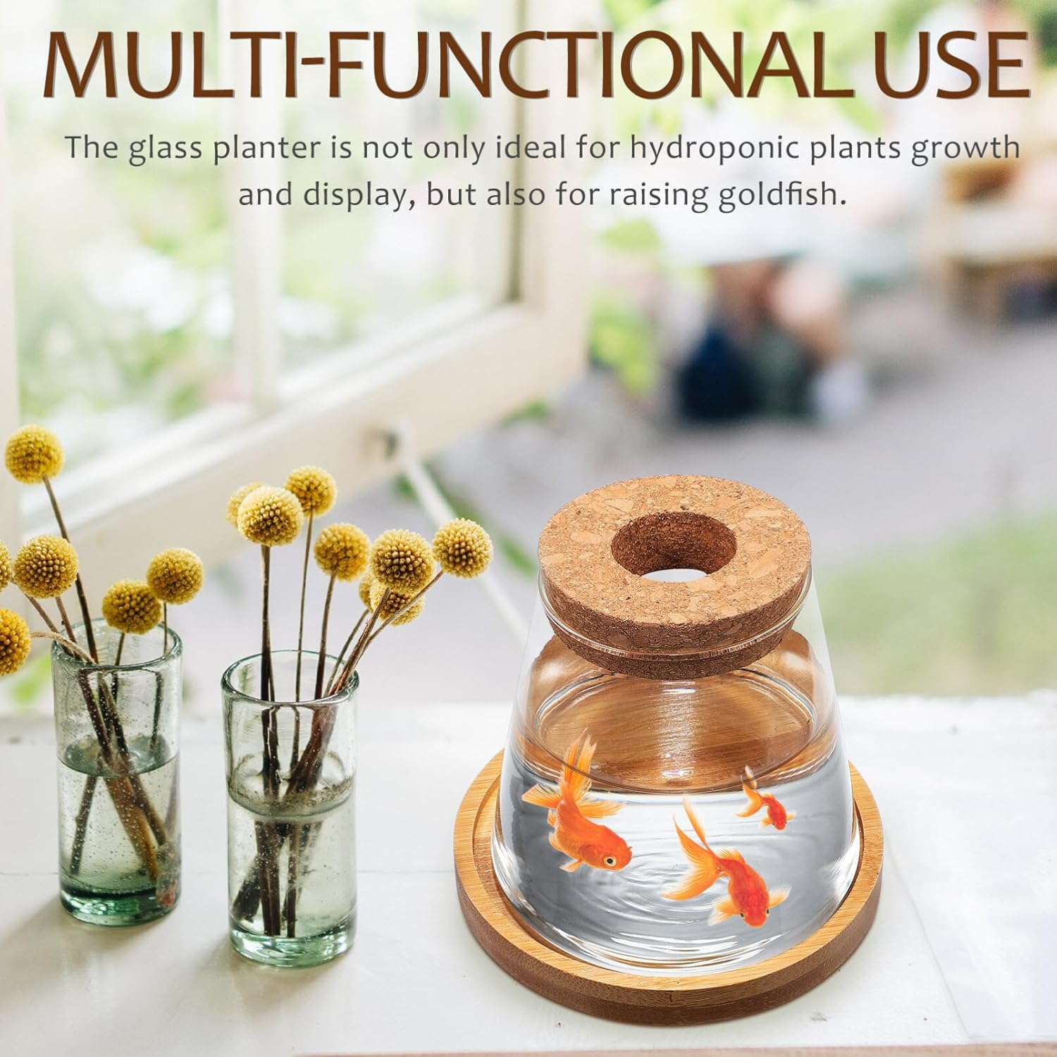 TOVINANNA 2Pcs Hydroponic Plants Terrarium with Cork Stopper and Base Glass Propagation Jars for Indoor Greenery Decor Elegant Water for Home Centerpiece image number 3