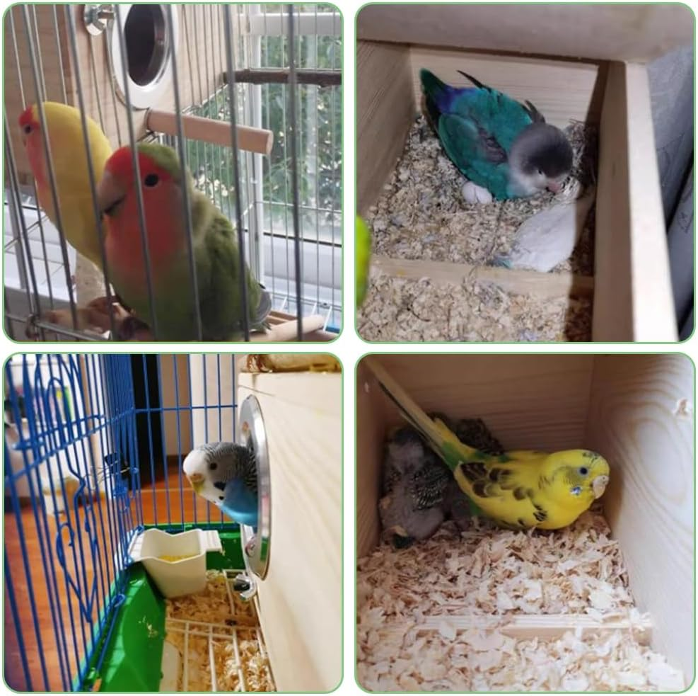 Natural Wood Parakeet Nesting Box Bird Breeding House with Detachable Wooden Board for Lovebirds, Cockatiels, Budgies, Conures | Mating & Hatching Cage image number 5