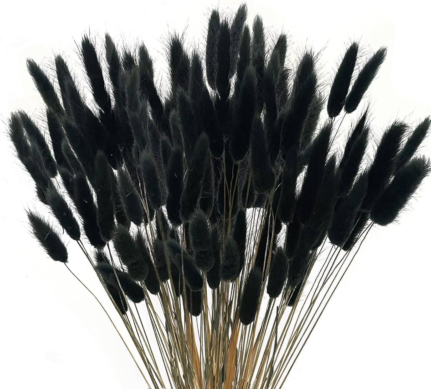 XHXSTORE 60Pcs Pink Pampas Grass Dried Flowers Bouquet for Home, Garden, Wedding, DIY Craft, Farmhouse Table Decor (17")