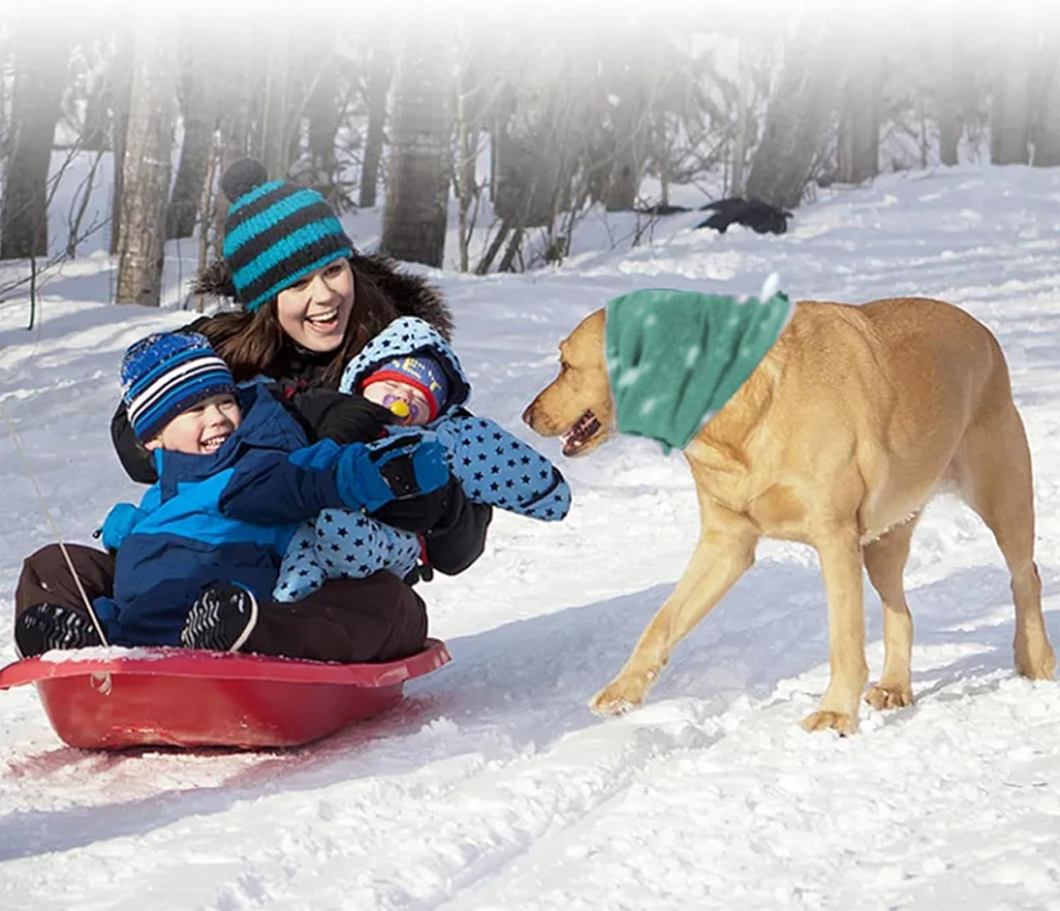 Joychong Dog Ear Muffs Noise Protection, Head Cover and Neck Warmer, Adjustable Headband for Anxiety Relief, Thunderstorms, Dog Hematoma,Green,M image number 5