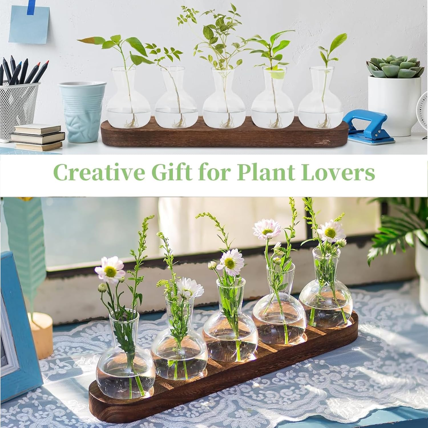 FUNNTY Desktop Plant Propagation,With Wooden Stand Glass Vase Hydroponic Planter Gifts Plant Terrarium for Plant Lovers Indoor Home Garden Office Decoration (5 Glass Vase &1 Tray Display) image number 2