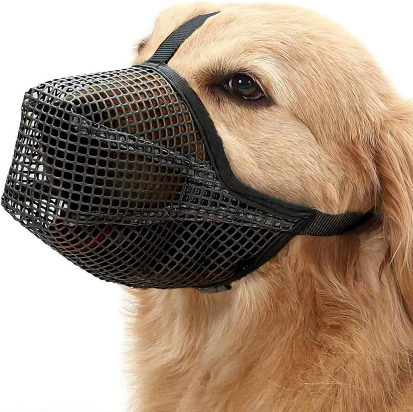 Muzzle for Dogs, Poison Bait Protection Muzzle Adjustable and Breathable for Large Safety Lock for Dogs Weighing 25-37.5 Kg for Prevents Biting Chewing and Barking (L) image number 3