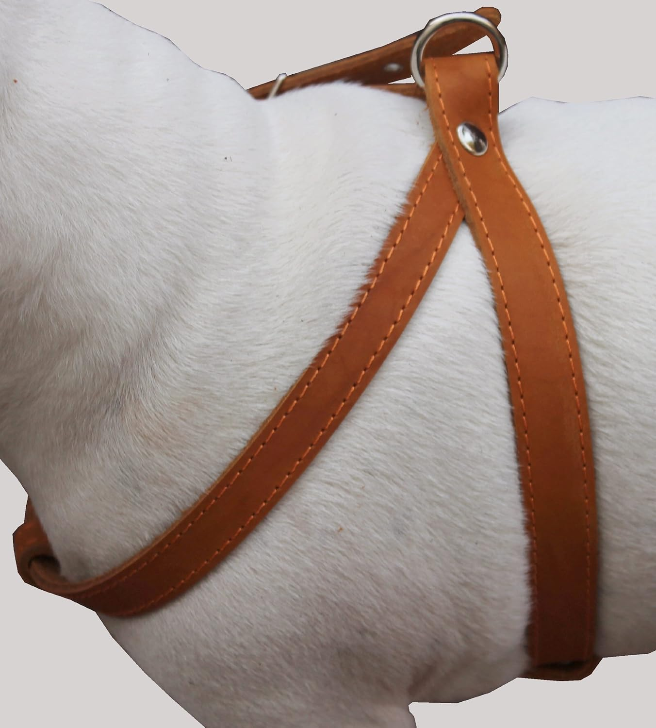 Tan Real Leather Dog Harness Medium. 21"-25" Chest, 1" Wide Straps image number 2