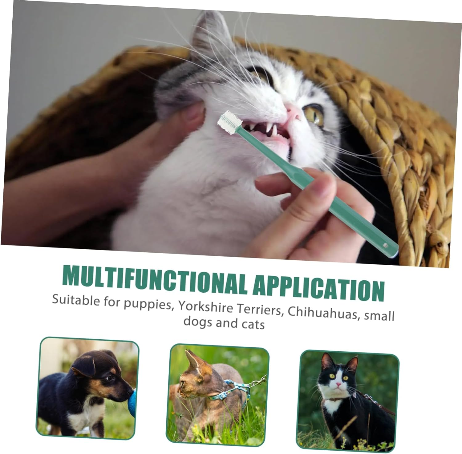 2Pcs Pet Toothbrush Dog Cat Toothpaste Pet Mouth Toothbrush Cat Finger Toothbrush Pet Teeth Plaque Remover Finger Cover Protector Puppy Cosmetic Kit Work Abs