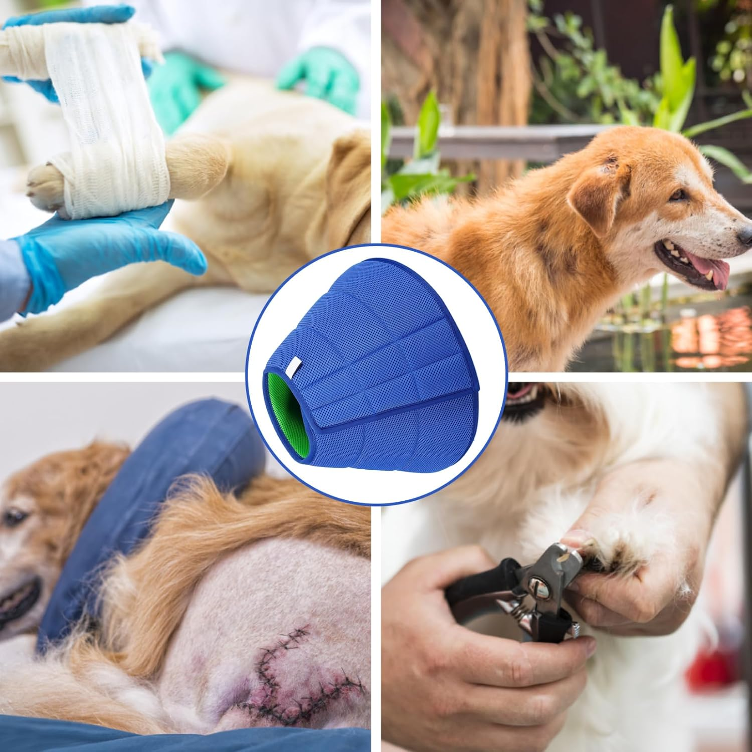 Dog Cone Collar for after Surgery XL Anti-Bite Soft Dog Cone Recovery Collars with Adjustable Strap Breathable Mesh Elizabethan Collar for Dogs Cats image number 2