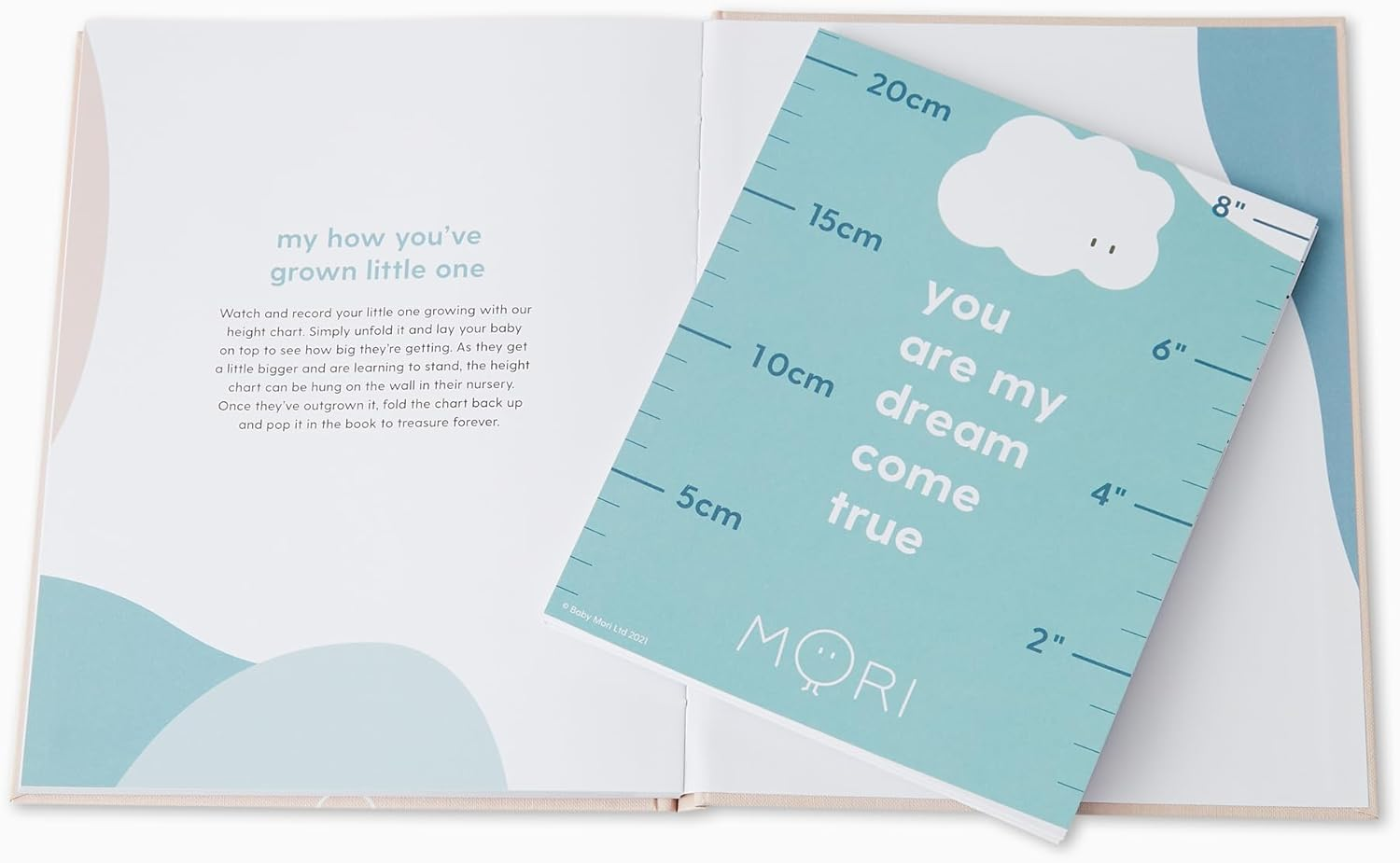 MORI Baby Premium Hello Baby Memory Book in Blush - Milestone Record Activity Journal for Newborns - Unisex Keepsake Diary with Personal Love Letter - One Size - Blue image number 3