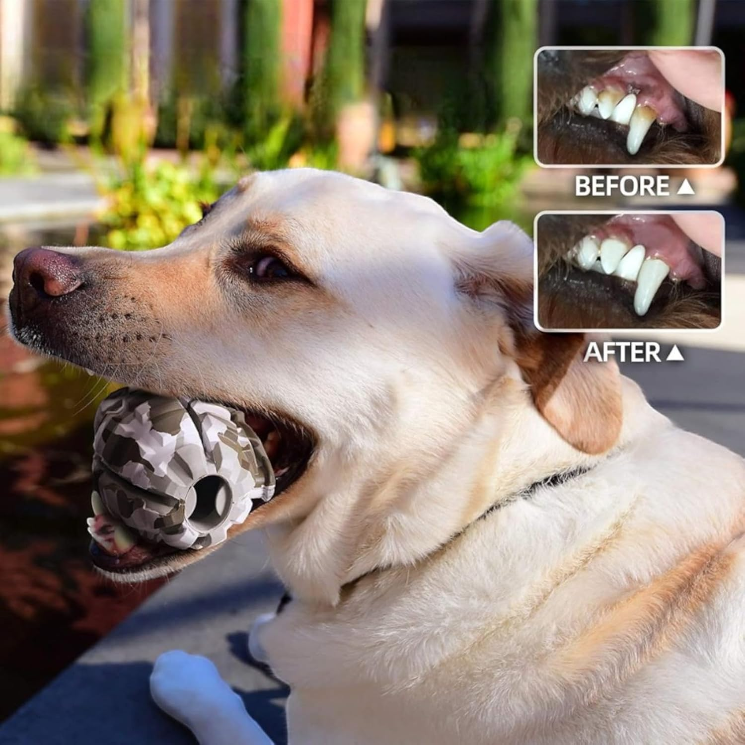 Royal Pets AU Indestructible, Durable & Tough Grenade Dog Chew Toy- Camouflage