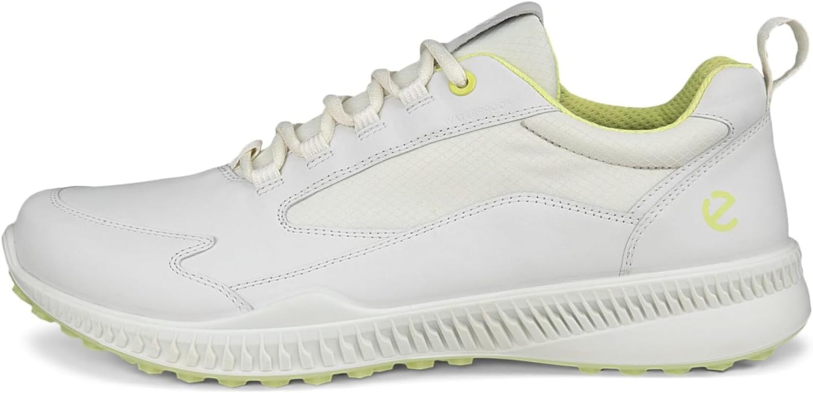 ECCO ECCO image number 2