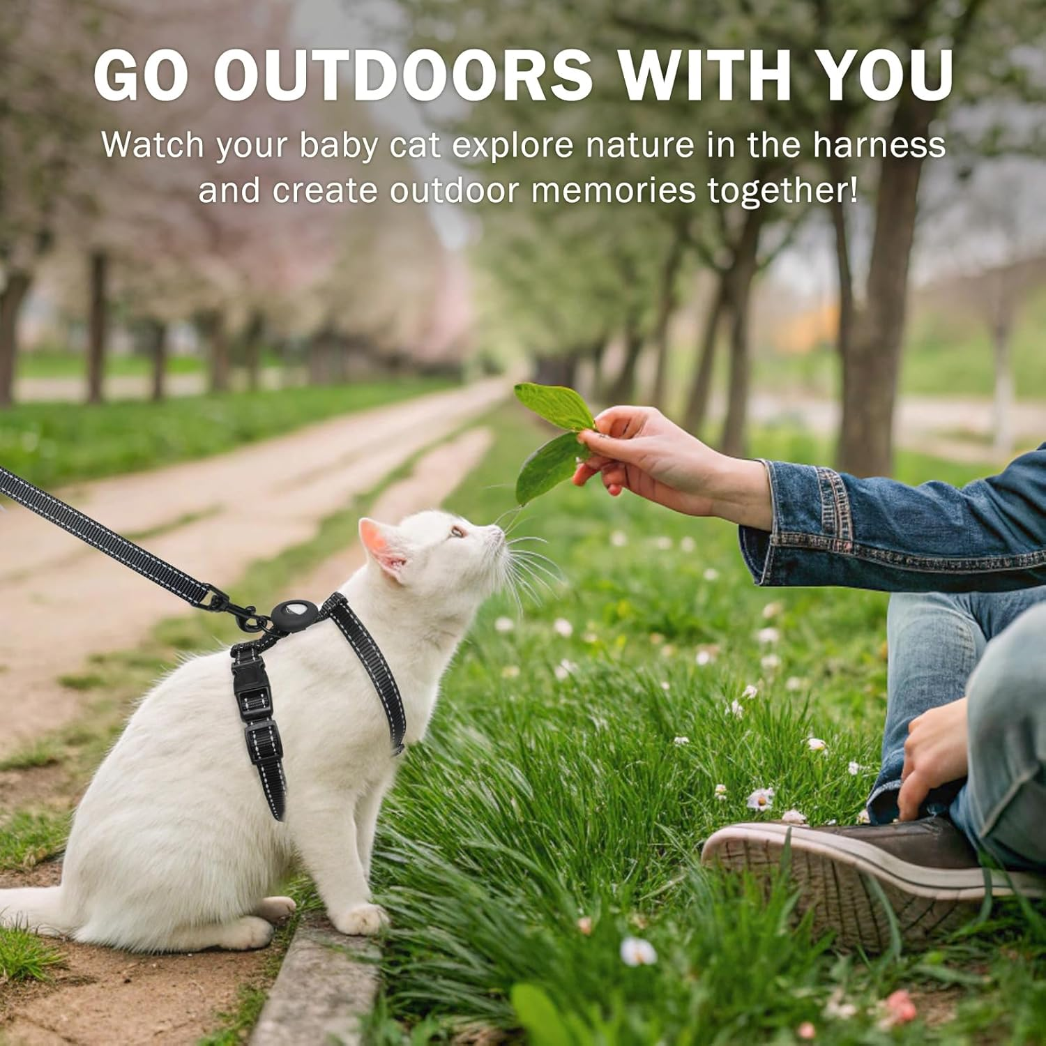 SCENEREAL Cat Harness and Leash Set Escape Proof with Airtag Holder, Reflective Pet Harnesses for Walking, Adjustable Kitty Vest Soft Harness Outdoor Indoor, Cute Travel Boys Girls Small Large Cats - Orange image number 3