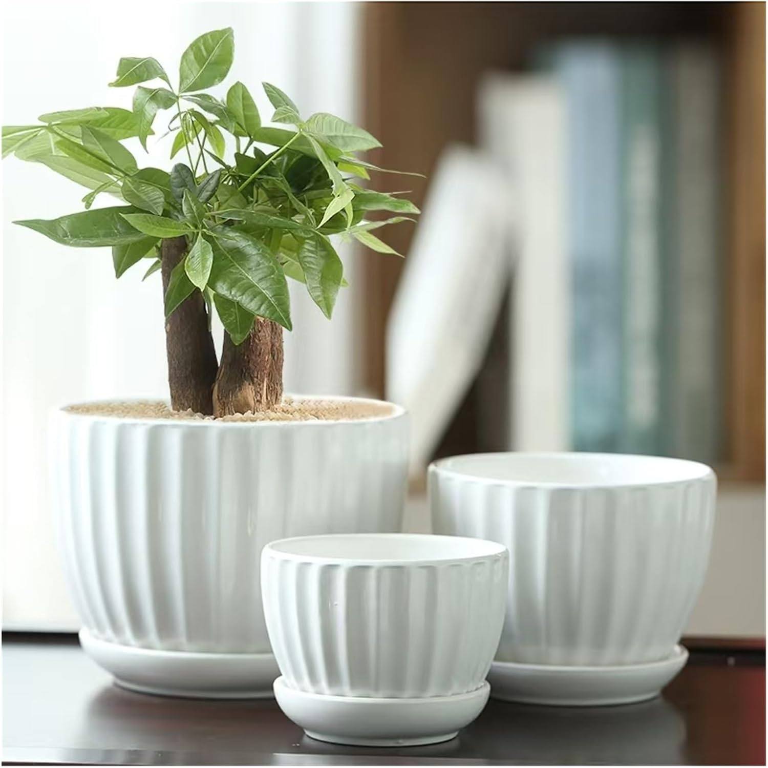 Ceramic Plant Pot 3/4/5 Inch 3 Packs White Indoor/Outdoor Flower Planter with Drainage Holes, Trays for Succulents, Flowers, and Herbs image number 1