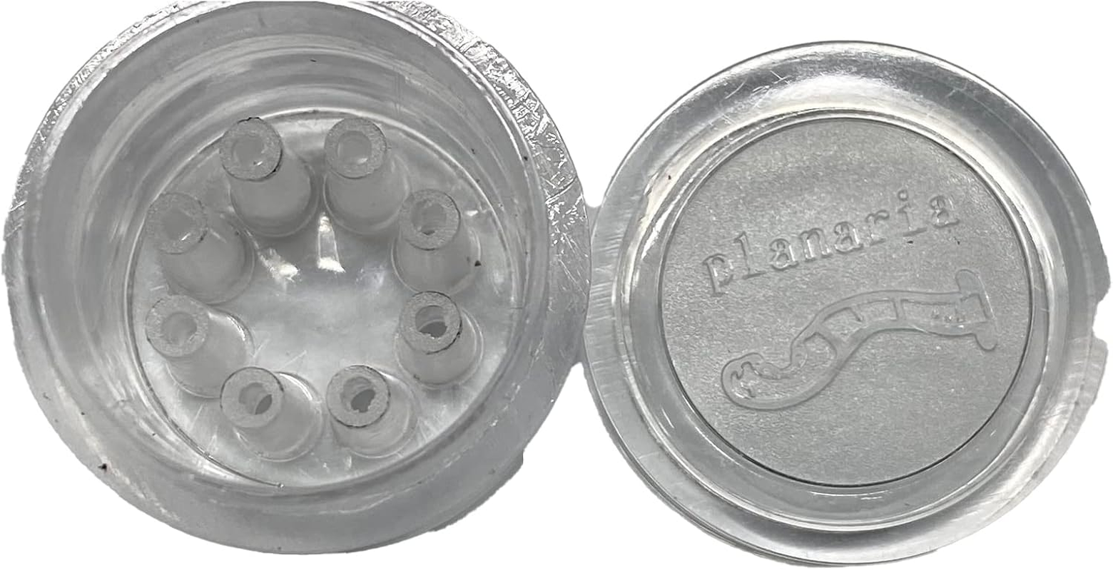 Planaria Trap Leech & Flatworm Trap/Catcher for Shrimp Tank or Aquarium by Awesome Aquatic image number 5