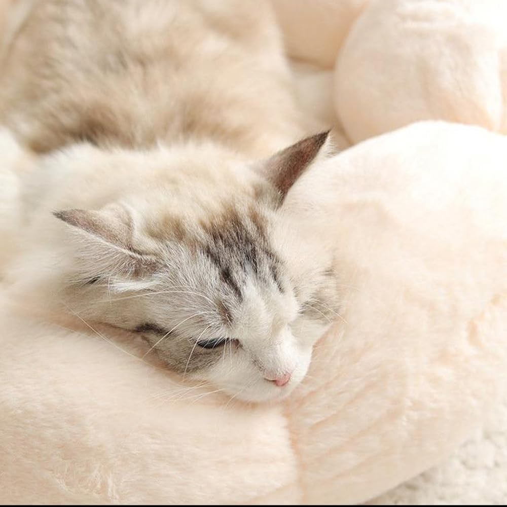 21 Inch Pet Bed, Washable and Non-Skid Cat Dog Bed, Soft Plush Warm Winter Puppy Bed for Small and Medium Dog Puppy Kitten Kitty Sleeping, Fits up to 20 Lbs image number 3