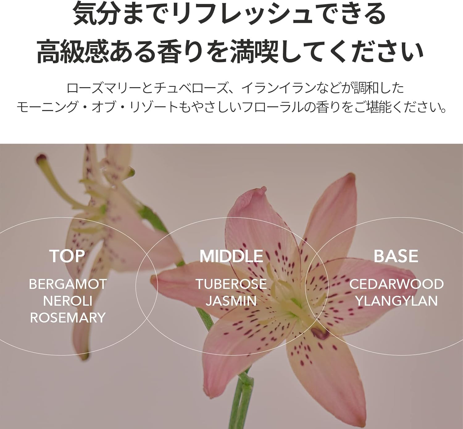 Day Collagen Shampoo Morning of Resort 360Ml