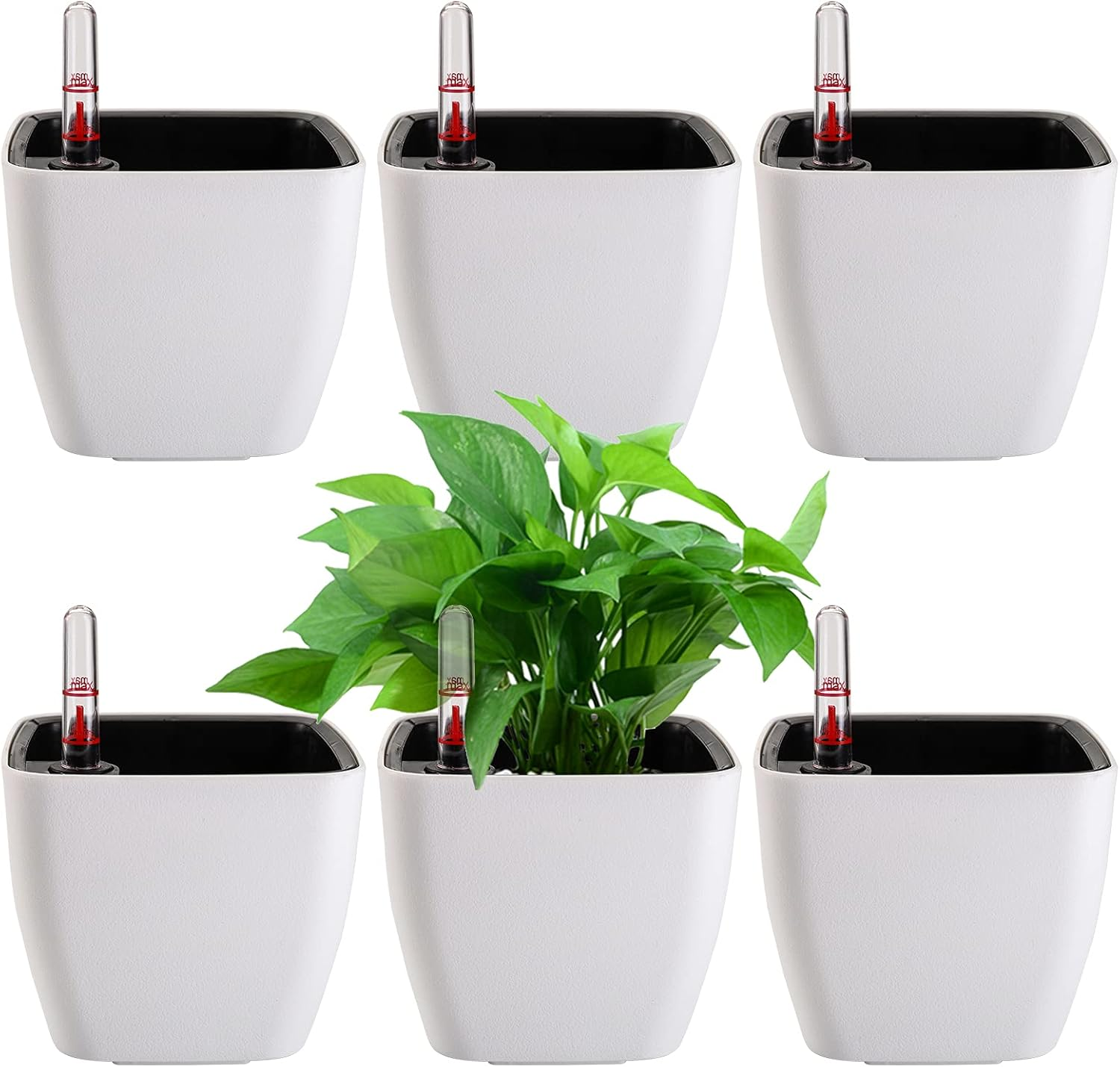 Yarlung 6 Pack Self Watering Planter with Water Level Indicator, 5 Inch Plastic Plant Flower Pots Nested Container for Indoor Plants, Herbs, Aloe, Outdoor Gardening image number 4