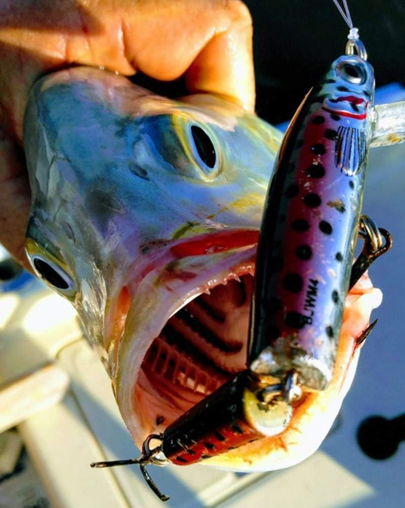 Bomber Lures Jointed Wake Minnow Fishing Lure - Produces a Fish-Enticing V-Wake image number 5